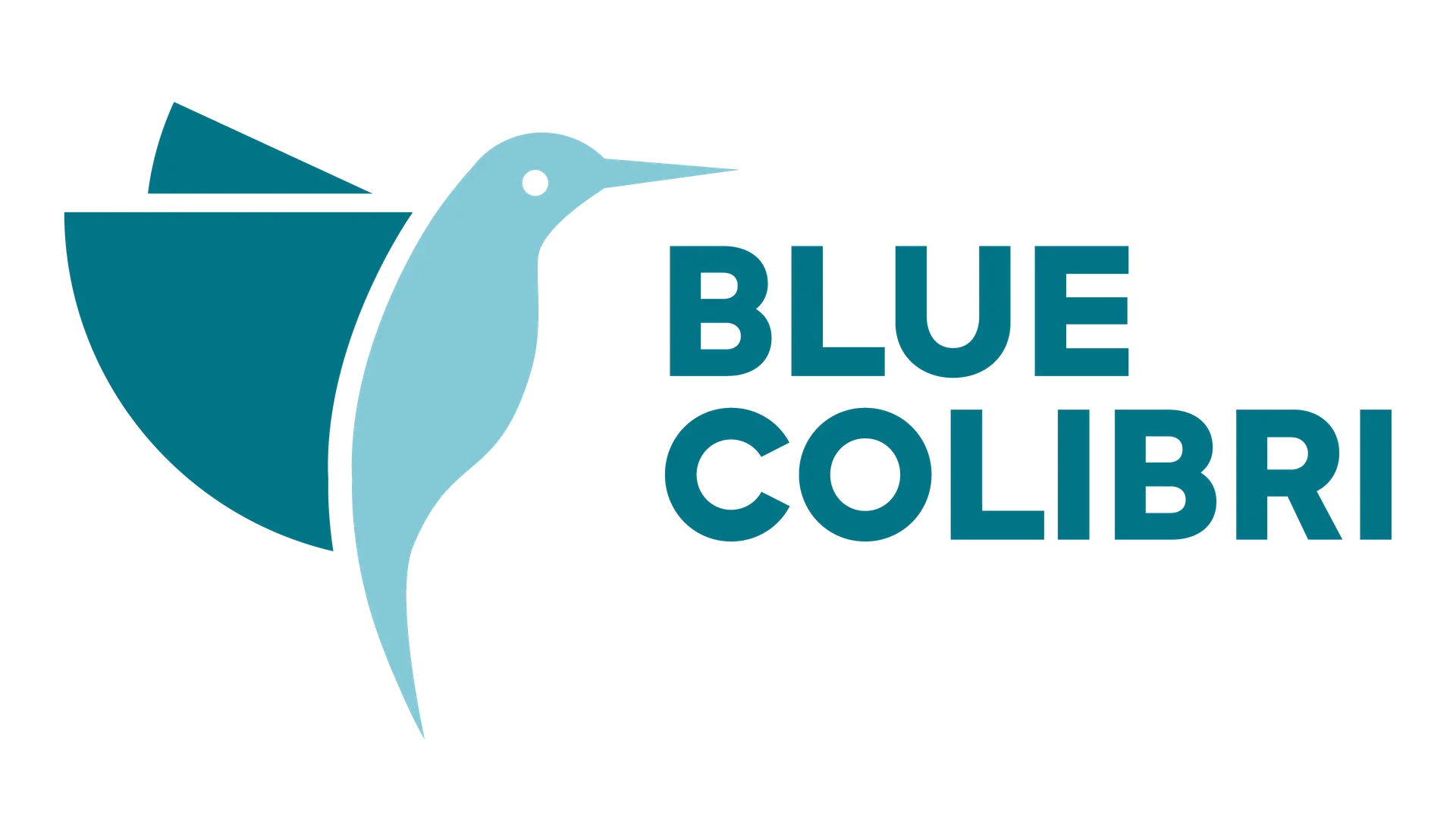 blue colibri